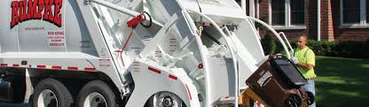 Best Recycling Services for Junk  in Lakeview, MI